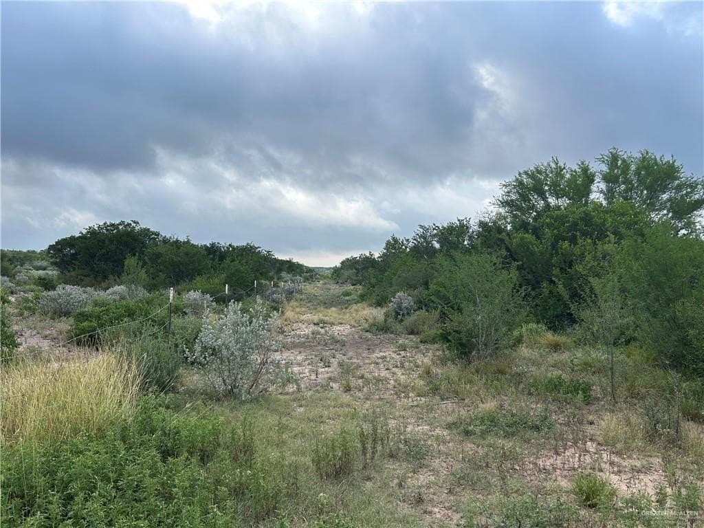 42.84 acres in Jim Wells County - photo 8