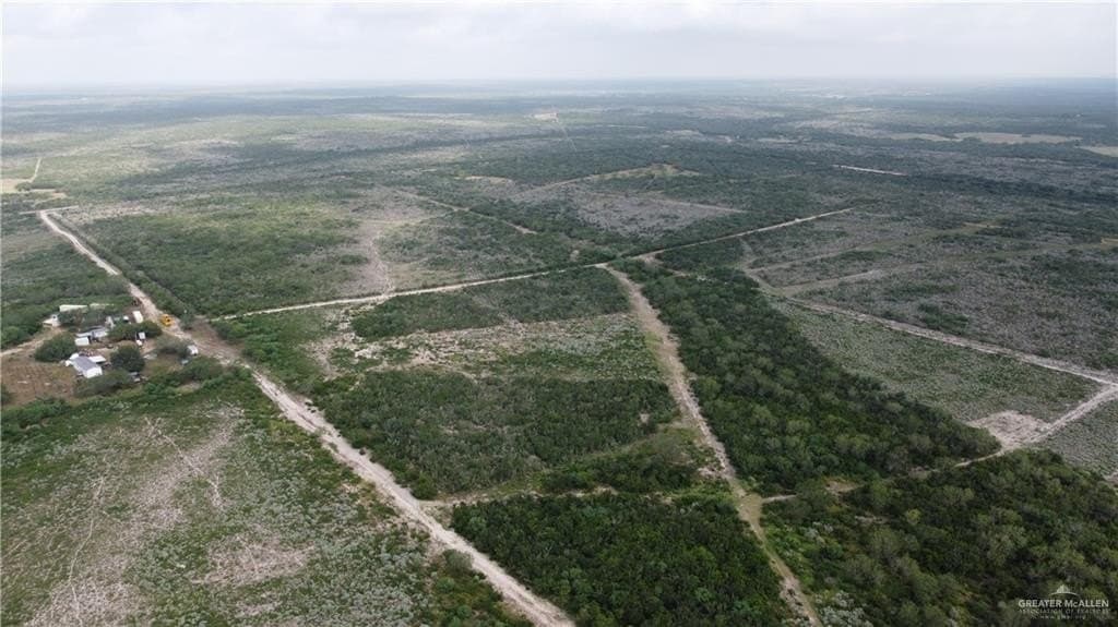 42.84 acres in Jim Wells County gallery image 3