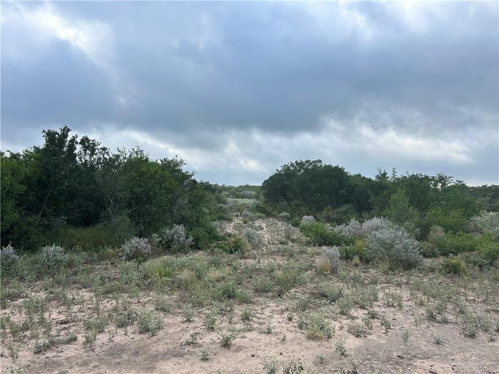 42.84 acres in Jim Wells County - photo 6