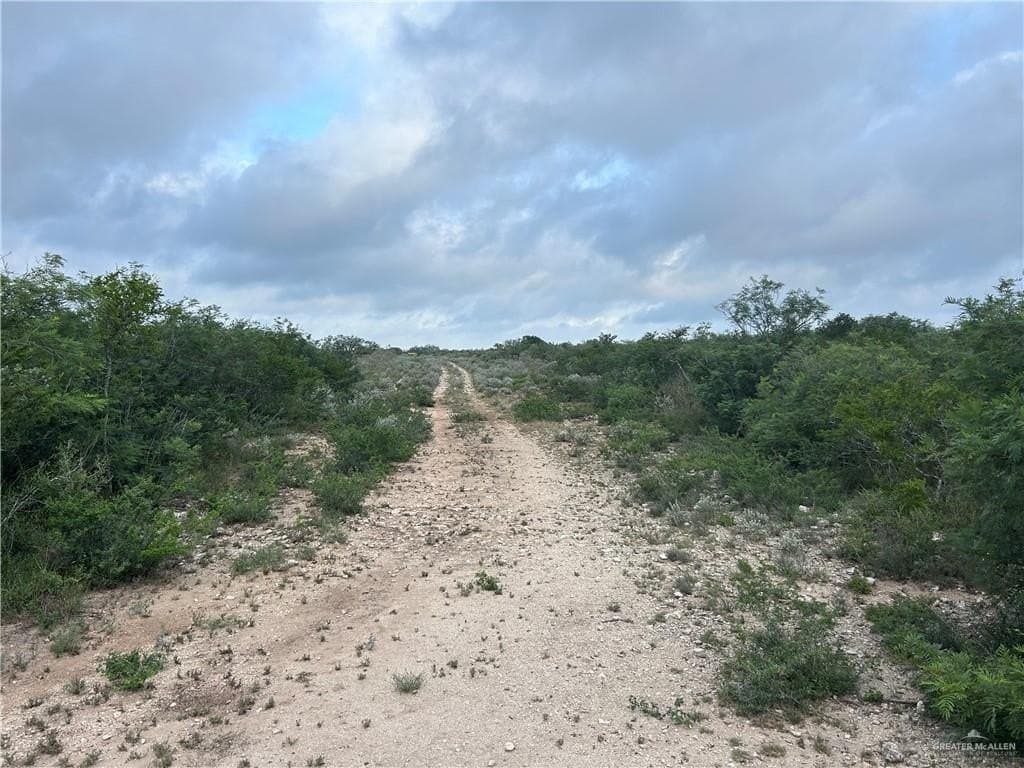 42.84 acres in Jim Wells County - photo 9