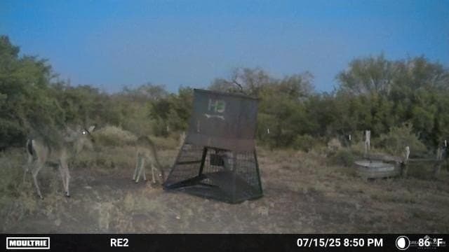 42.84 acres in Jim Wells County - photo 15
