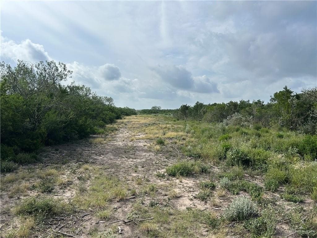 42.84 acres in Jim Wells County - photo 11