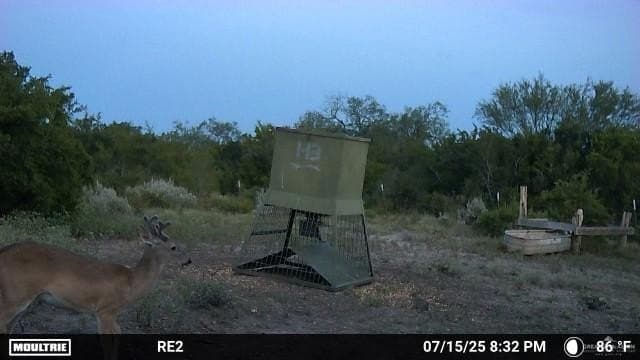 42.84 acres in Jim Wells County - photo 17