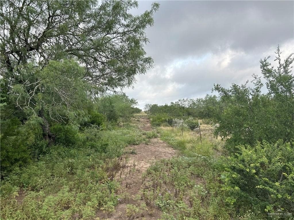 42.84 acres in Jim Wells County - photo 7