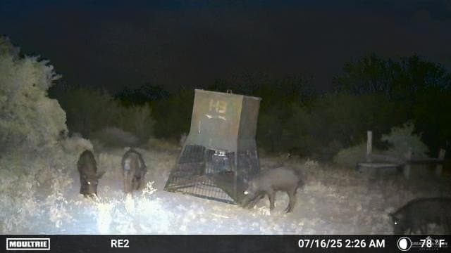 42.84 acres in Jim Wells County - photo 14