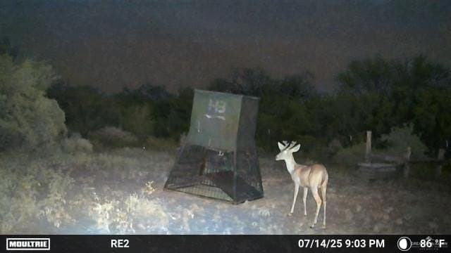 42.84 acres in Jim Wells County - photo 19