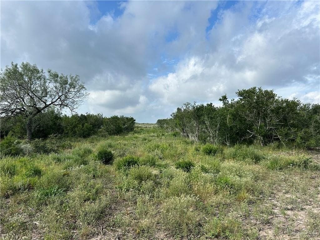42.84 acres in Jim Wells County - photo 12