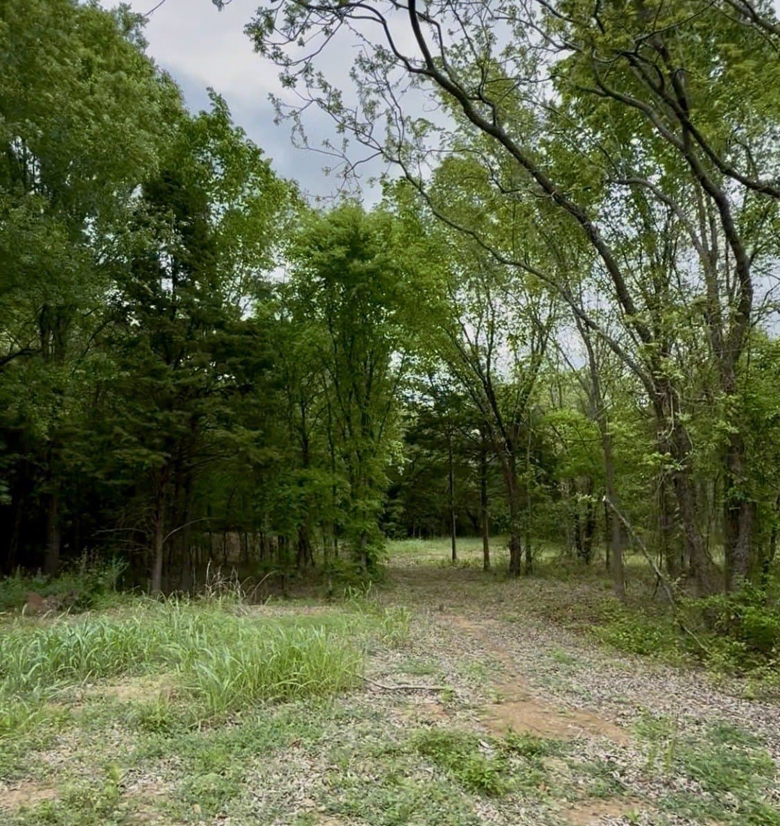 1.75 acres in Ellis County - photo 8