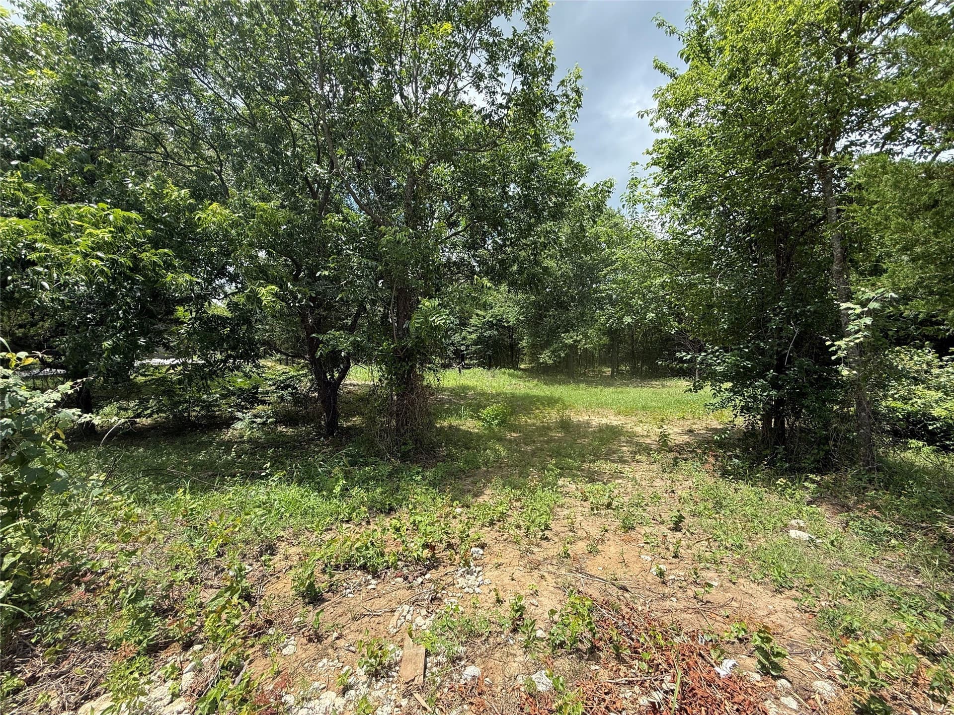 1.75 acres in Ellis County - photo 4