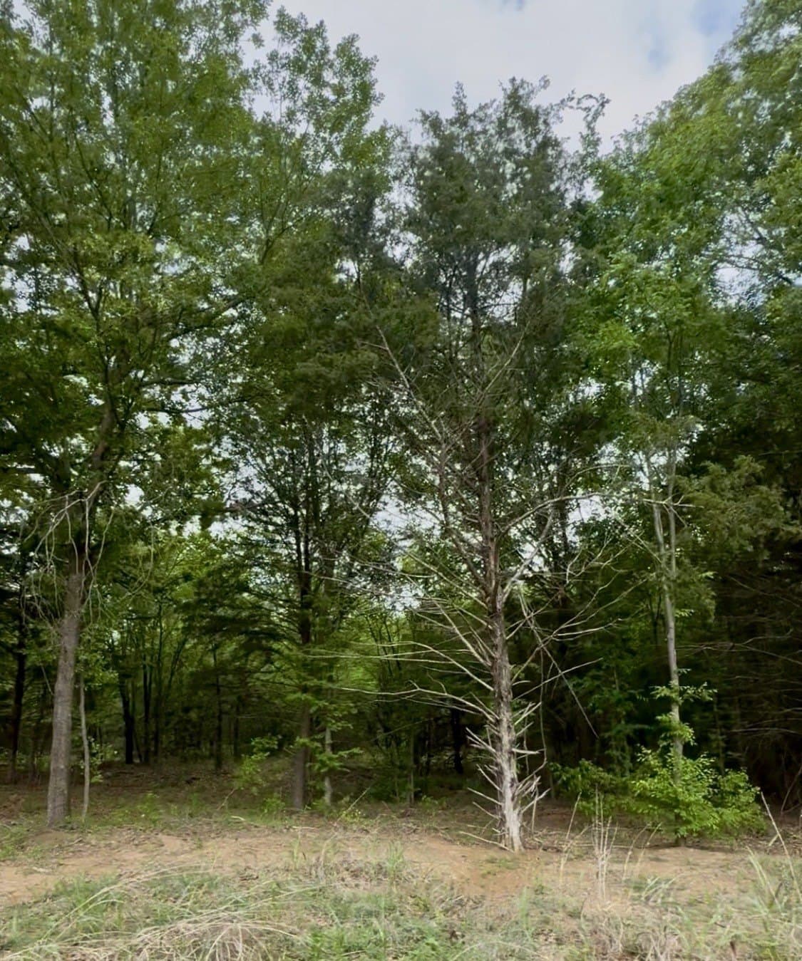 1.75 acres in Ellis County - photo 7