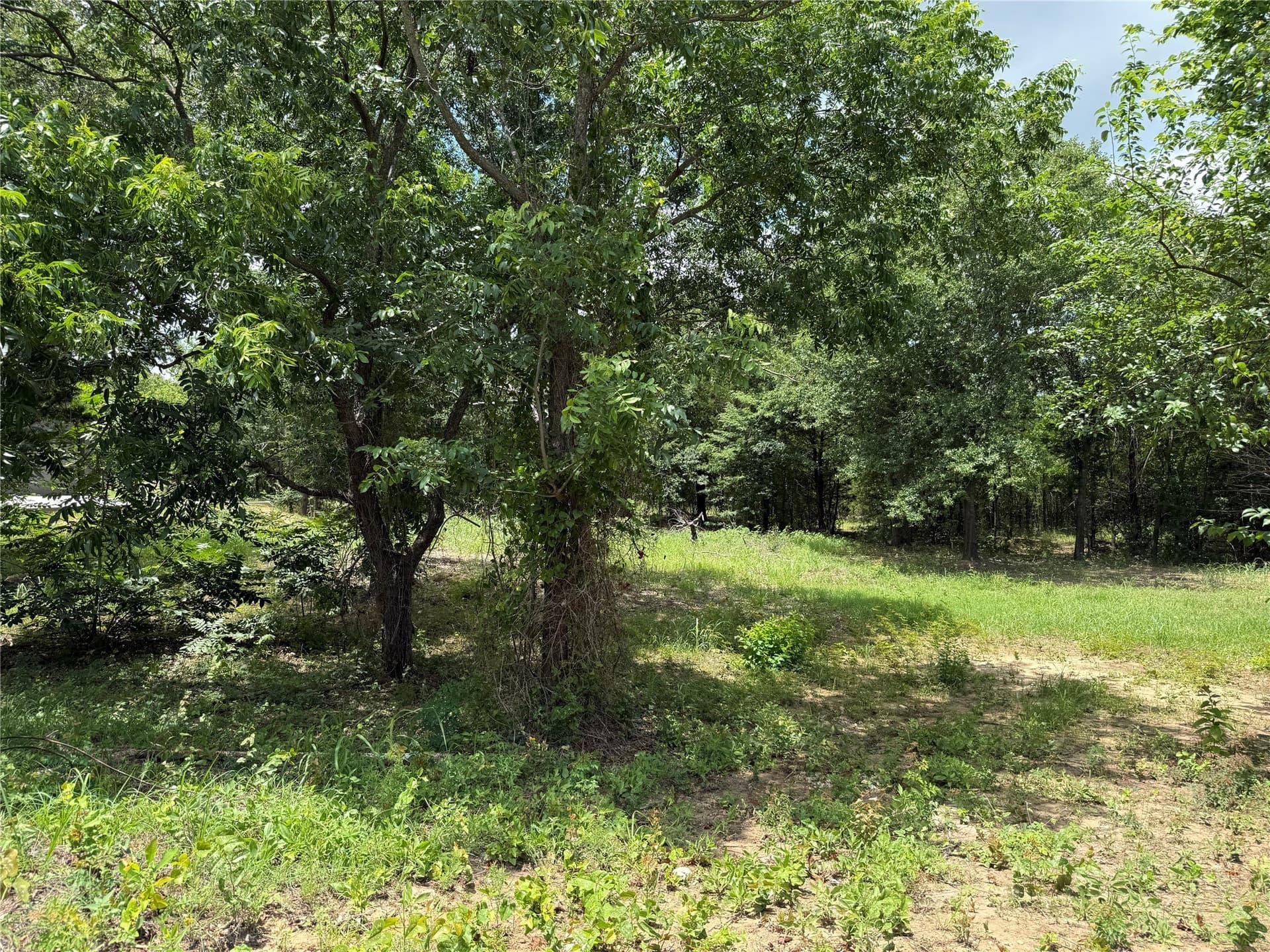 1.75 acres in Ellis County - photo 2