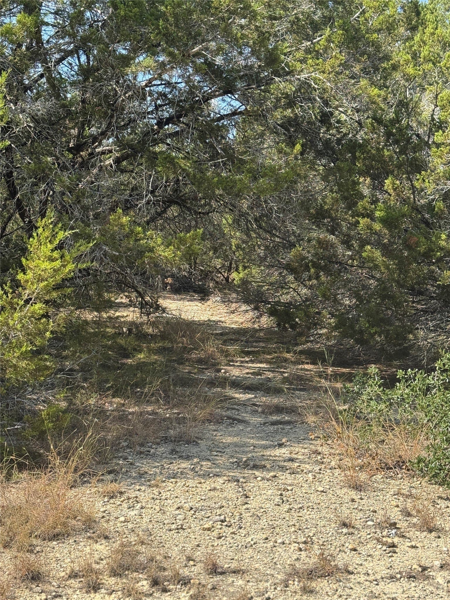 12 acres in Burnet County - photo 9