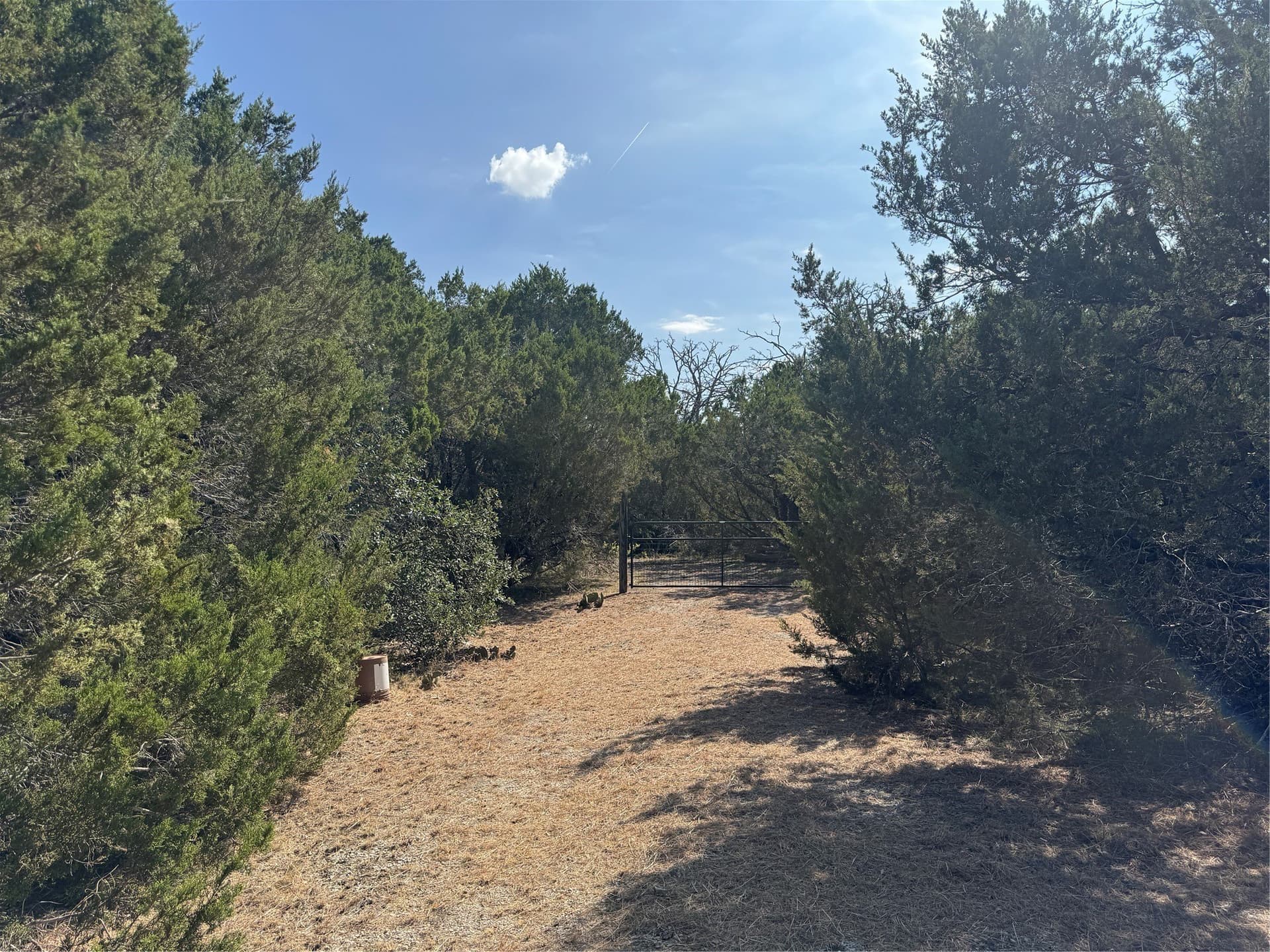 12 acres in Burnet County - photo 10