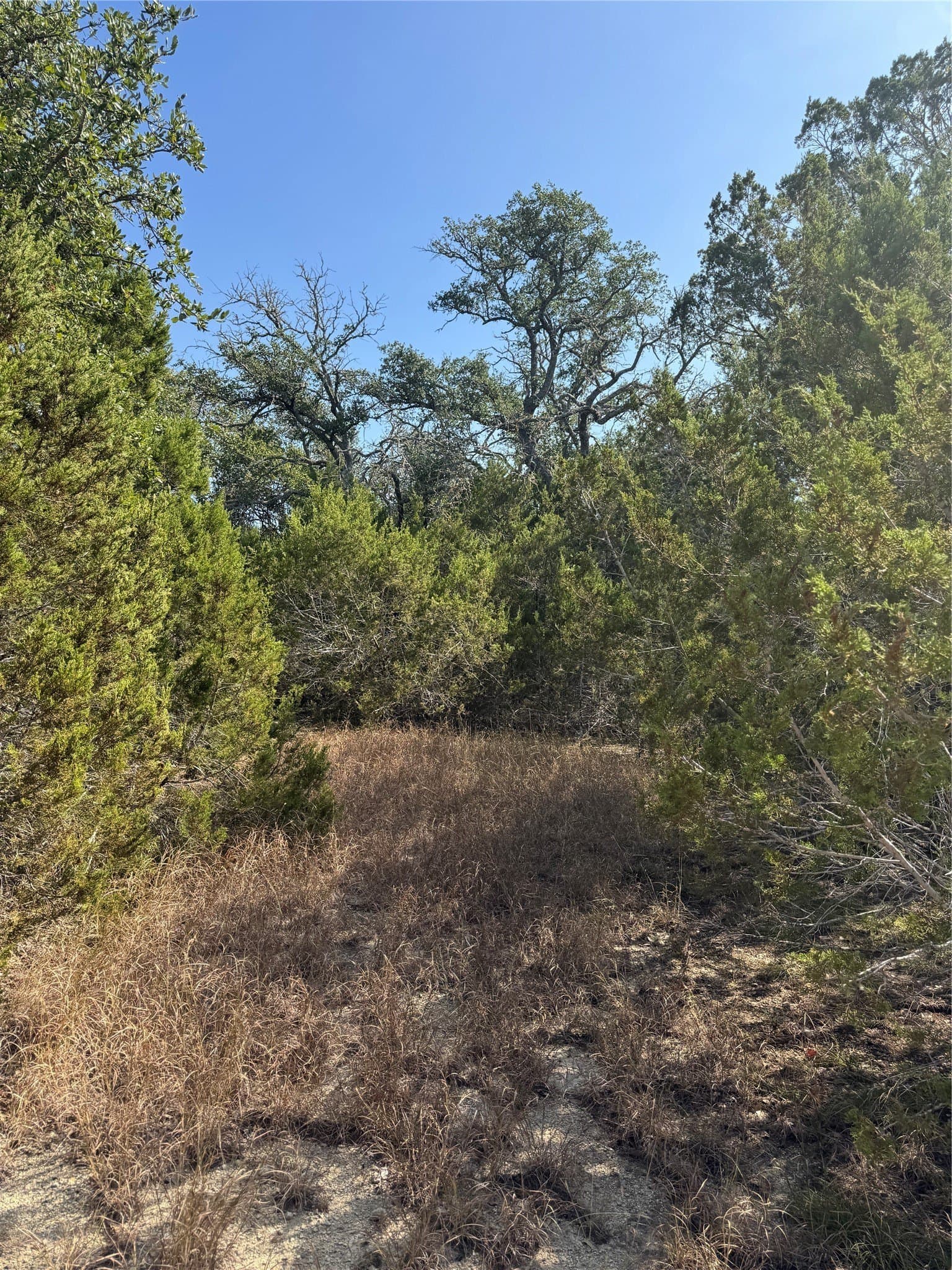 12 acres in Burnet County - photo 8