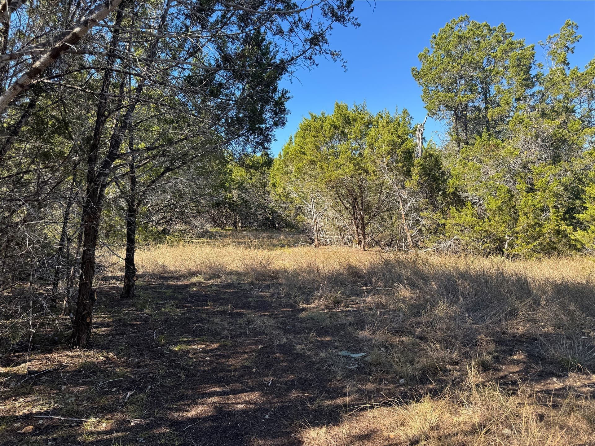 12 acres in Burnet County - photo 12