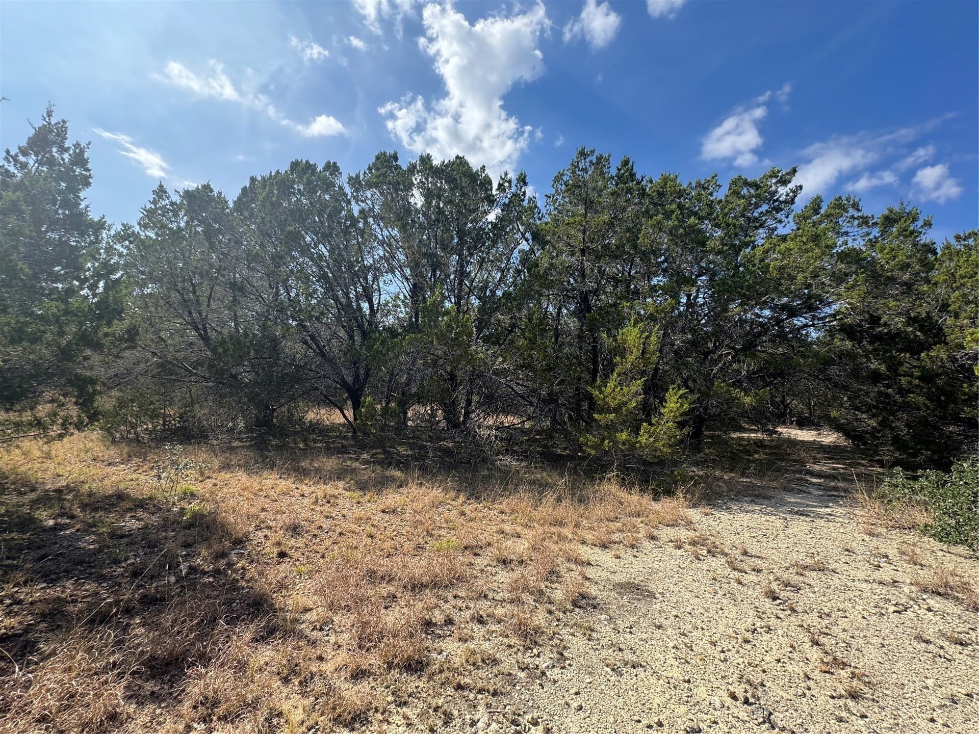 12 acres in Burnet County - photo 7