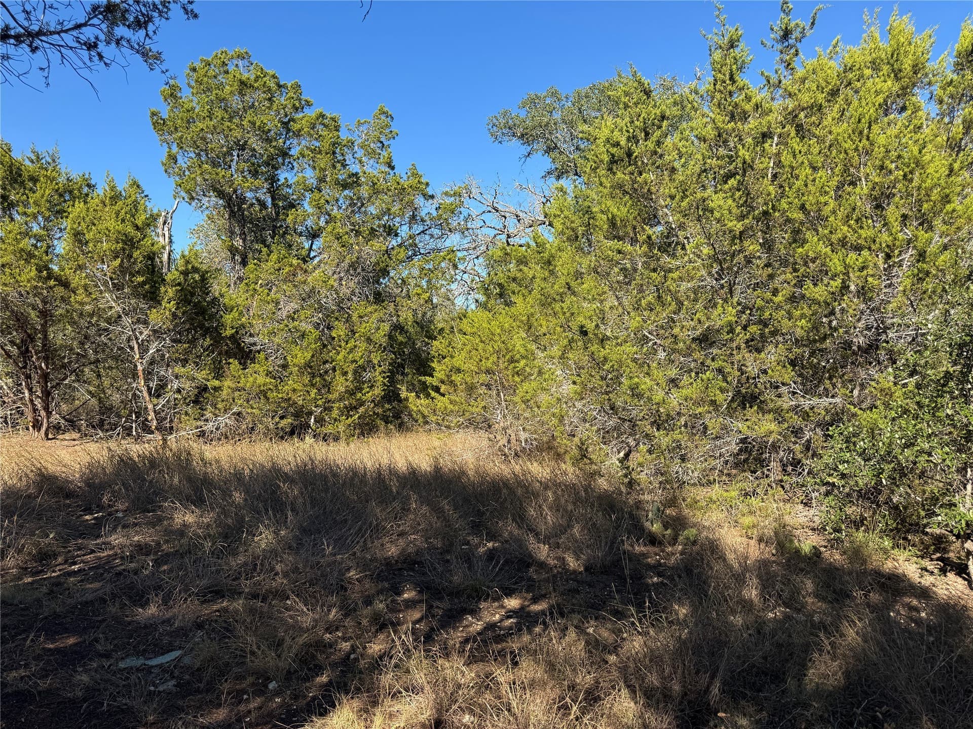 12 acres in Burnet County - photo 13