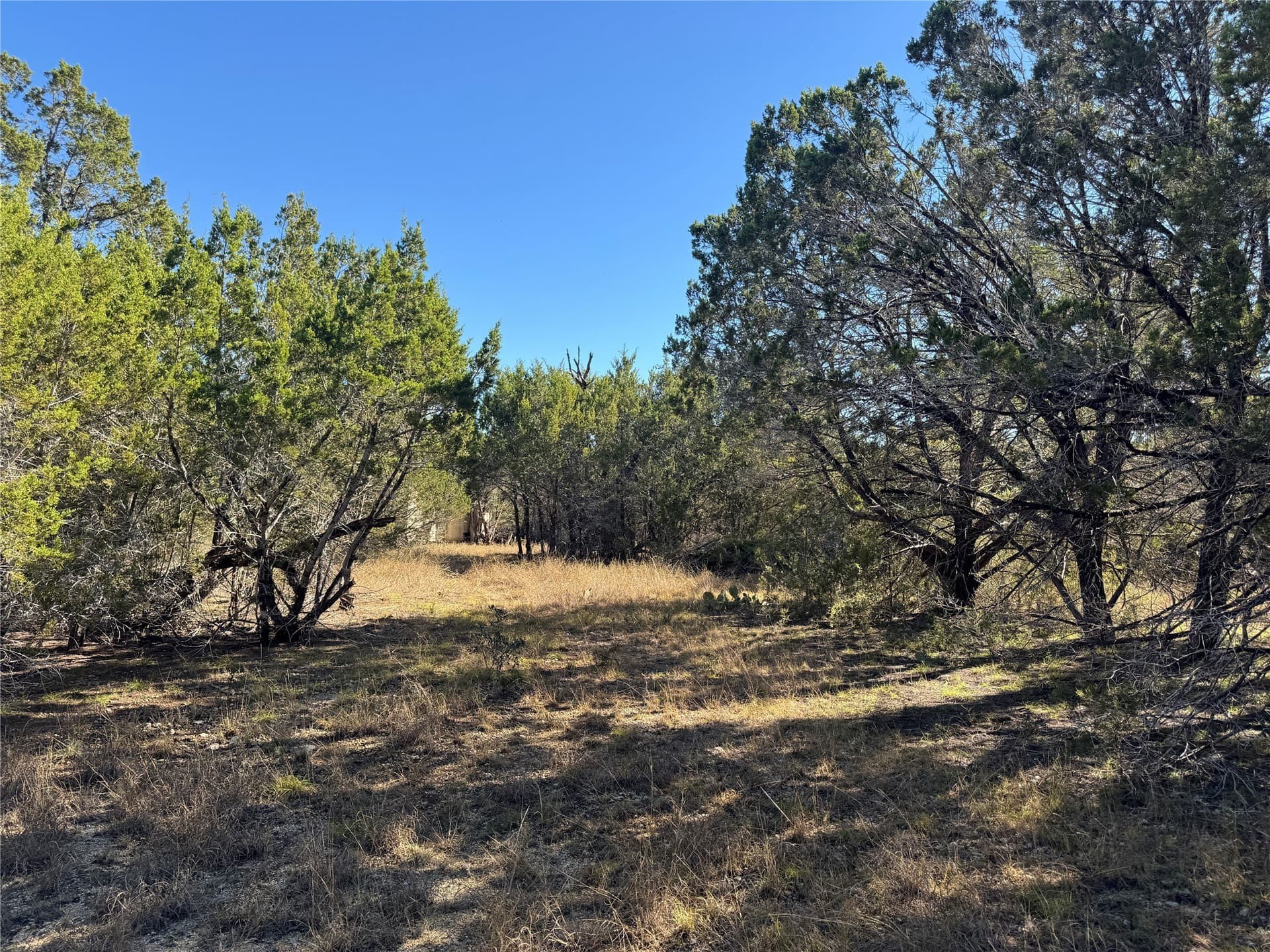 12 acres in Burnet County - photo 11