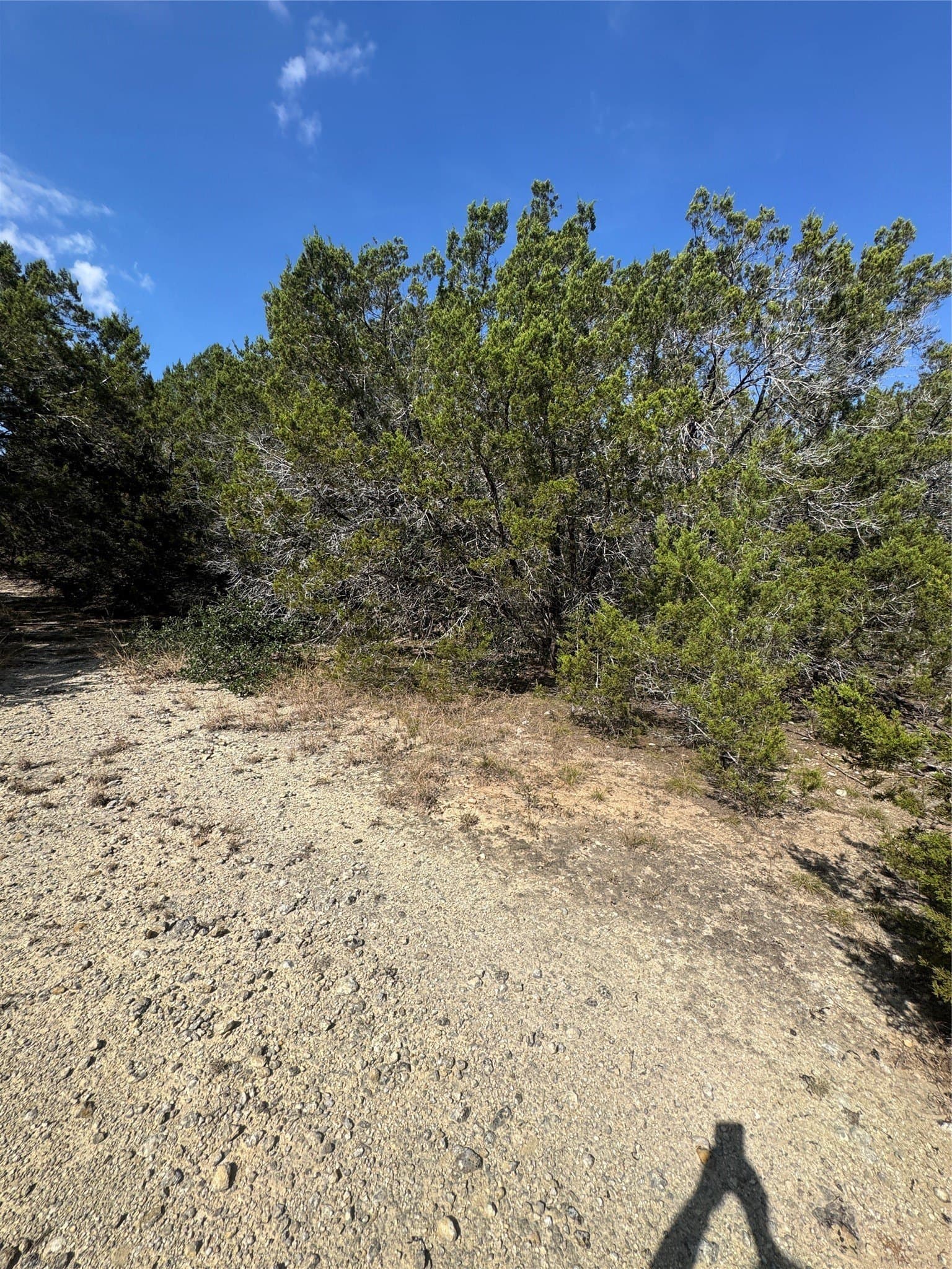 12 acres in Burnet County - photo 6
