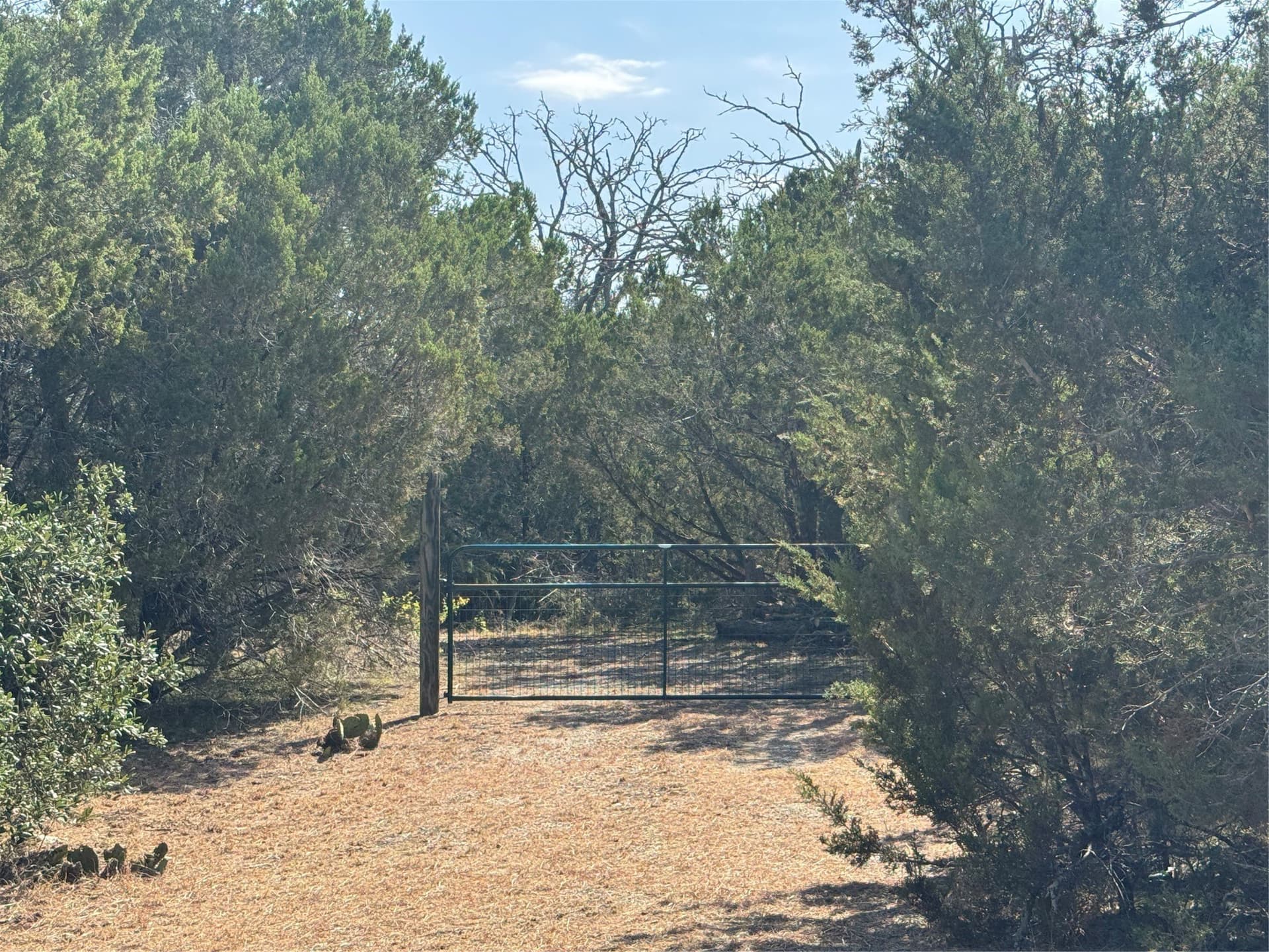 12 acres in Burnet County gallery image 4