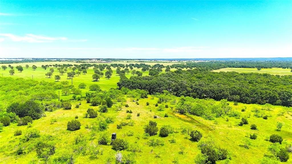 97 acres in Parker County gallery image 2