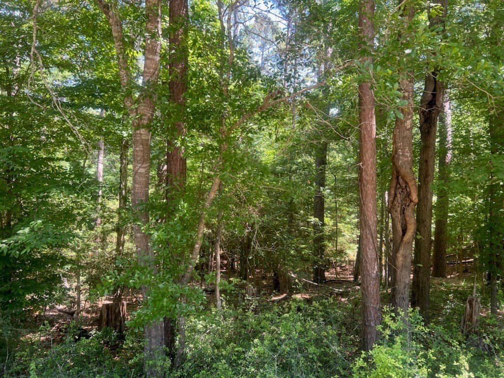 0.5 acres in Texas County gallery image 4