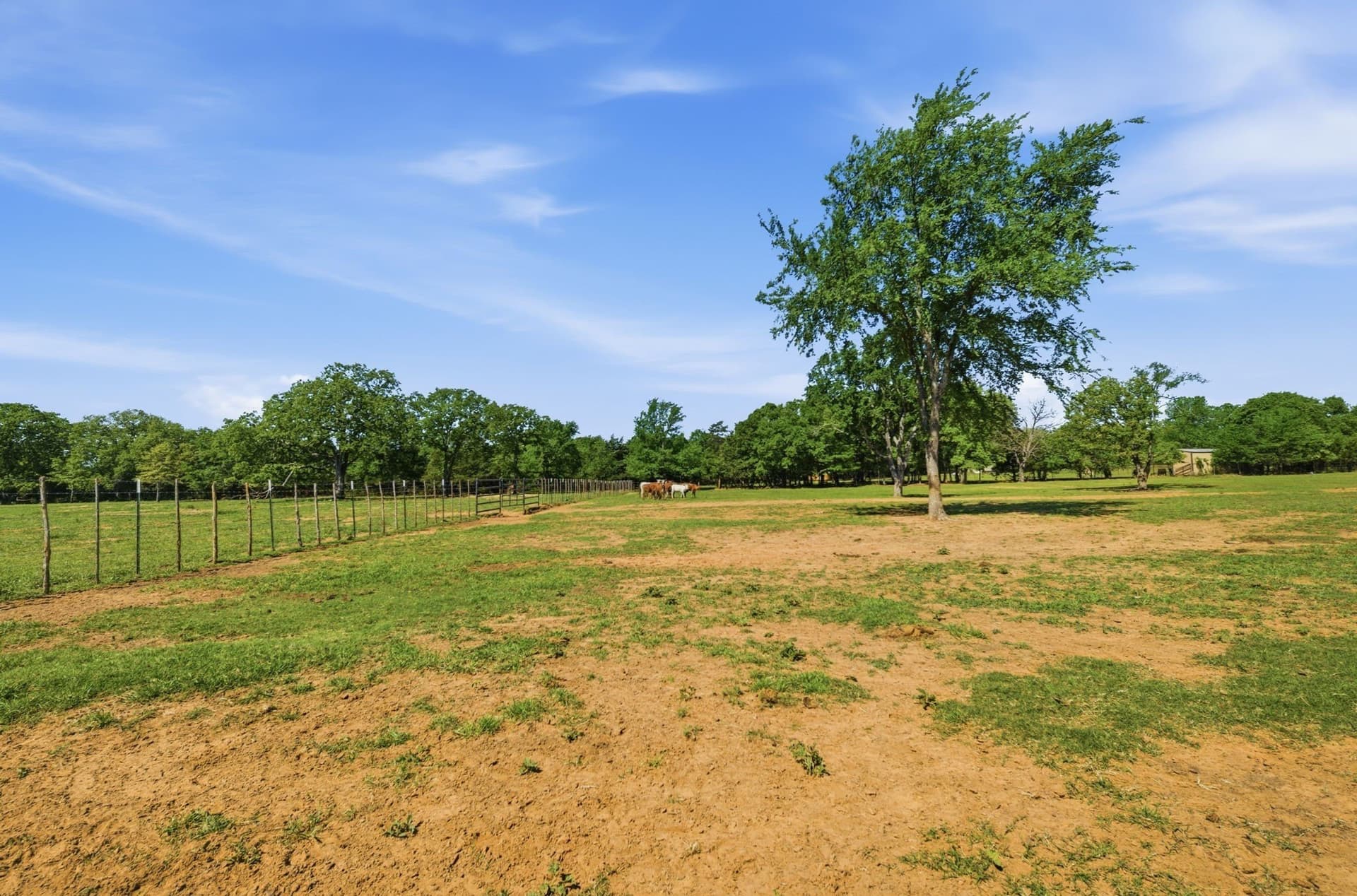 19.42 acres in Cooke County - photo 25