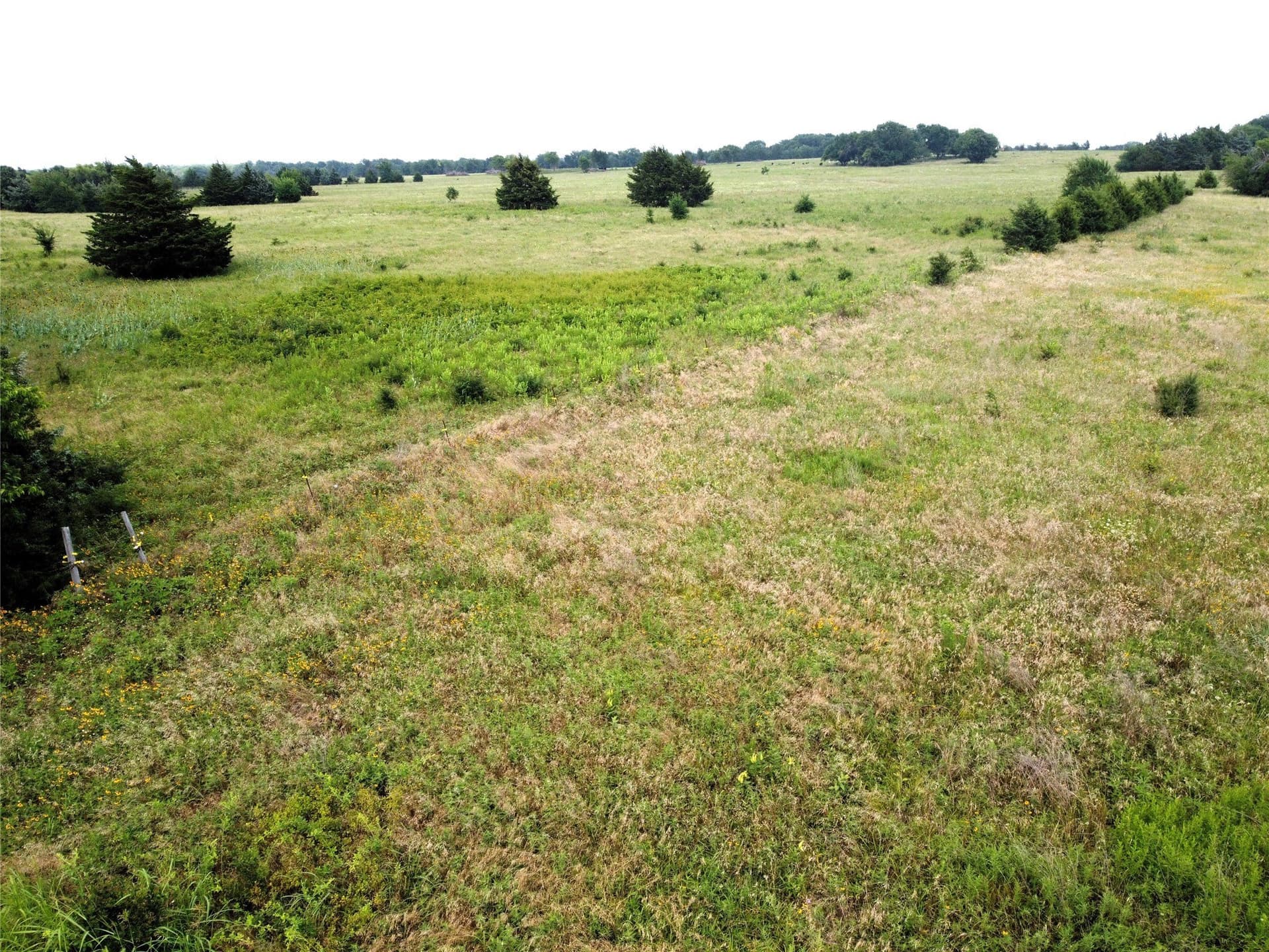 1.24 acres in Fannin County - photo 5