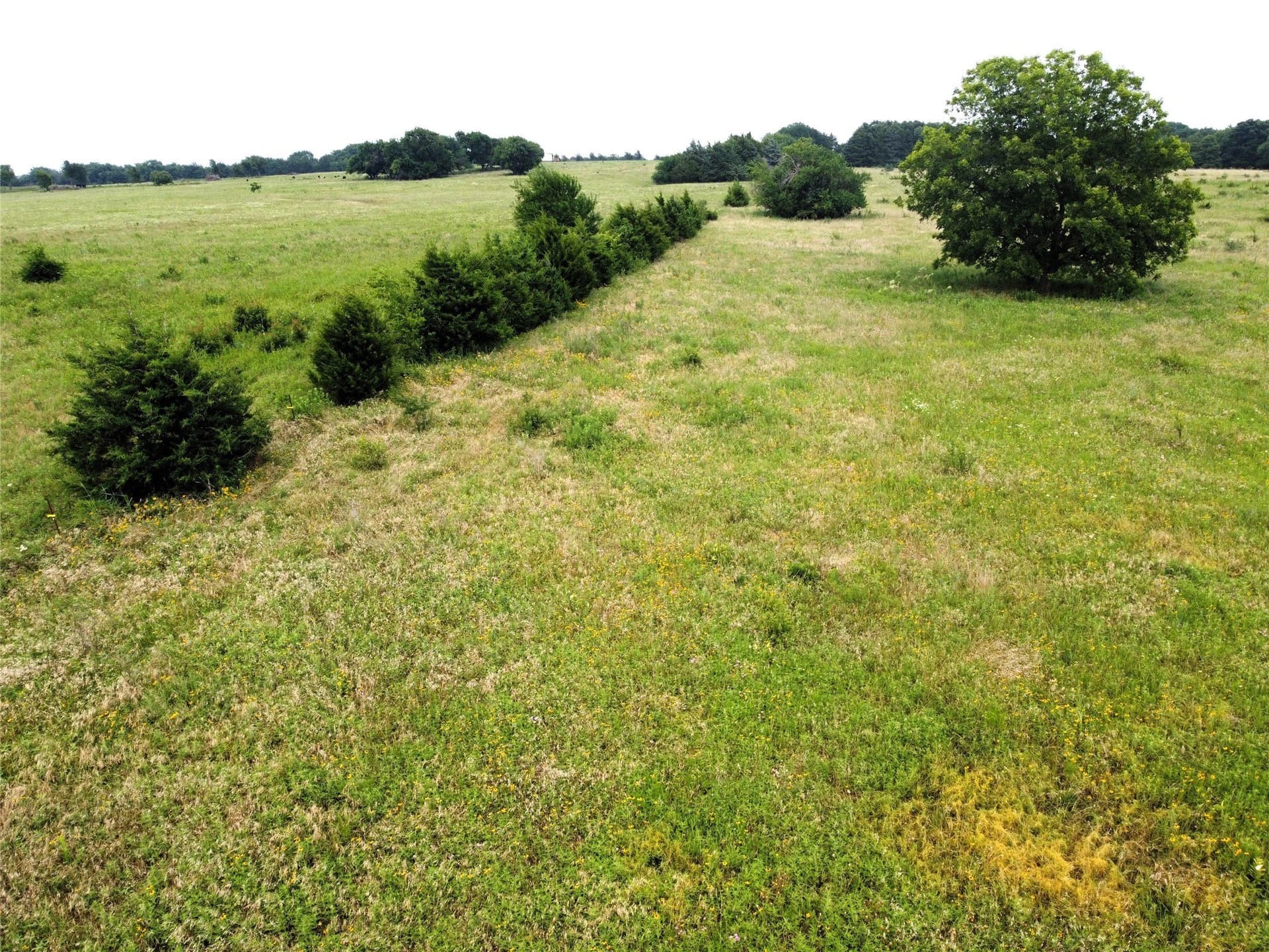 1.24 acres in Fannin County - photo 7
