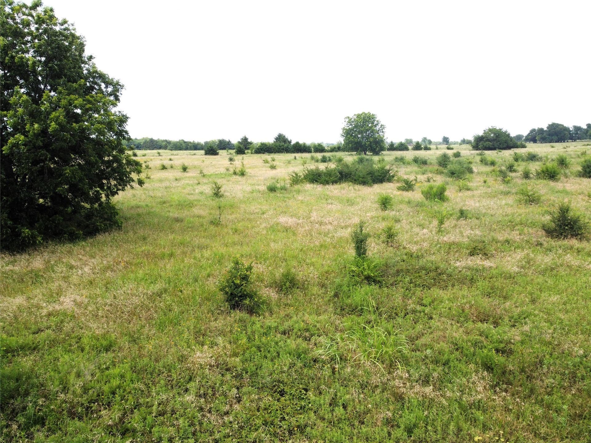 1.24 acres in Fannin County - photo 4