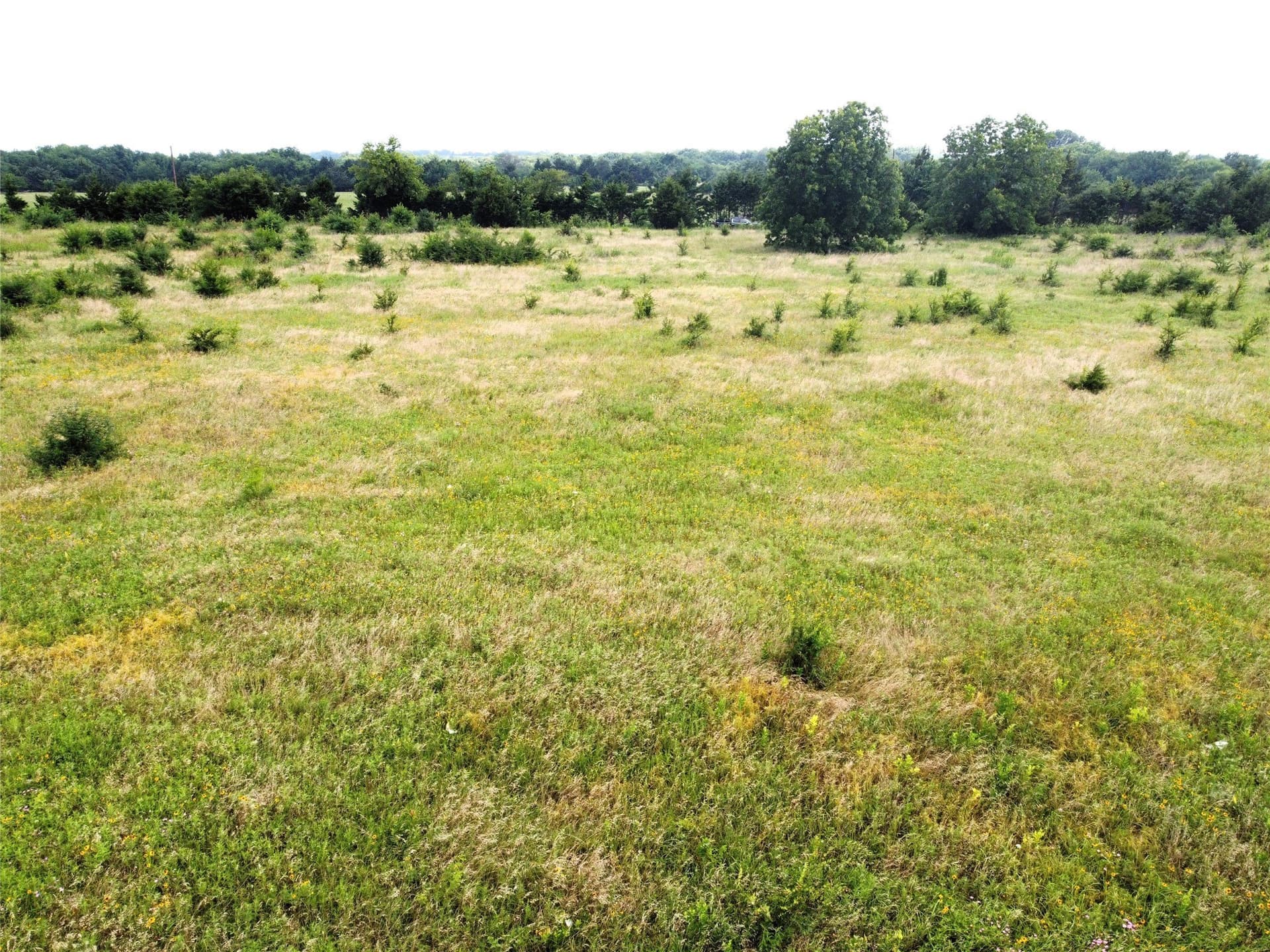 1.24 acres in Fannin County - photo 9