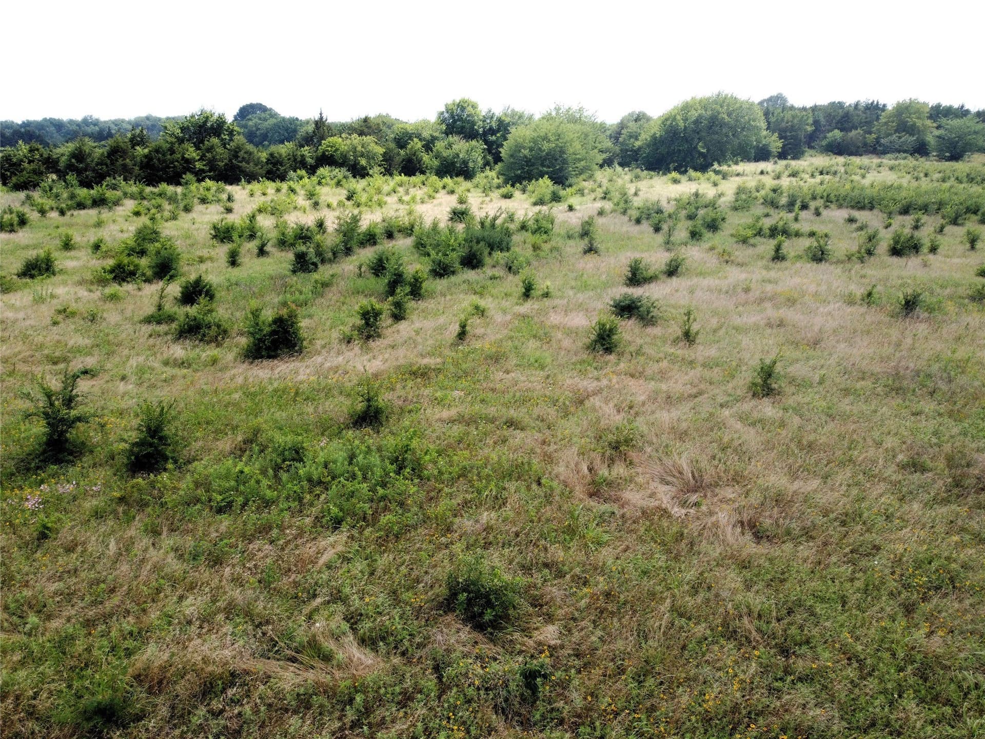 1.24 acres in Fannin County - photo 6