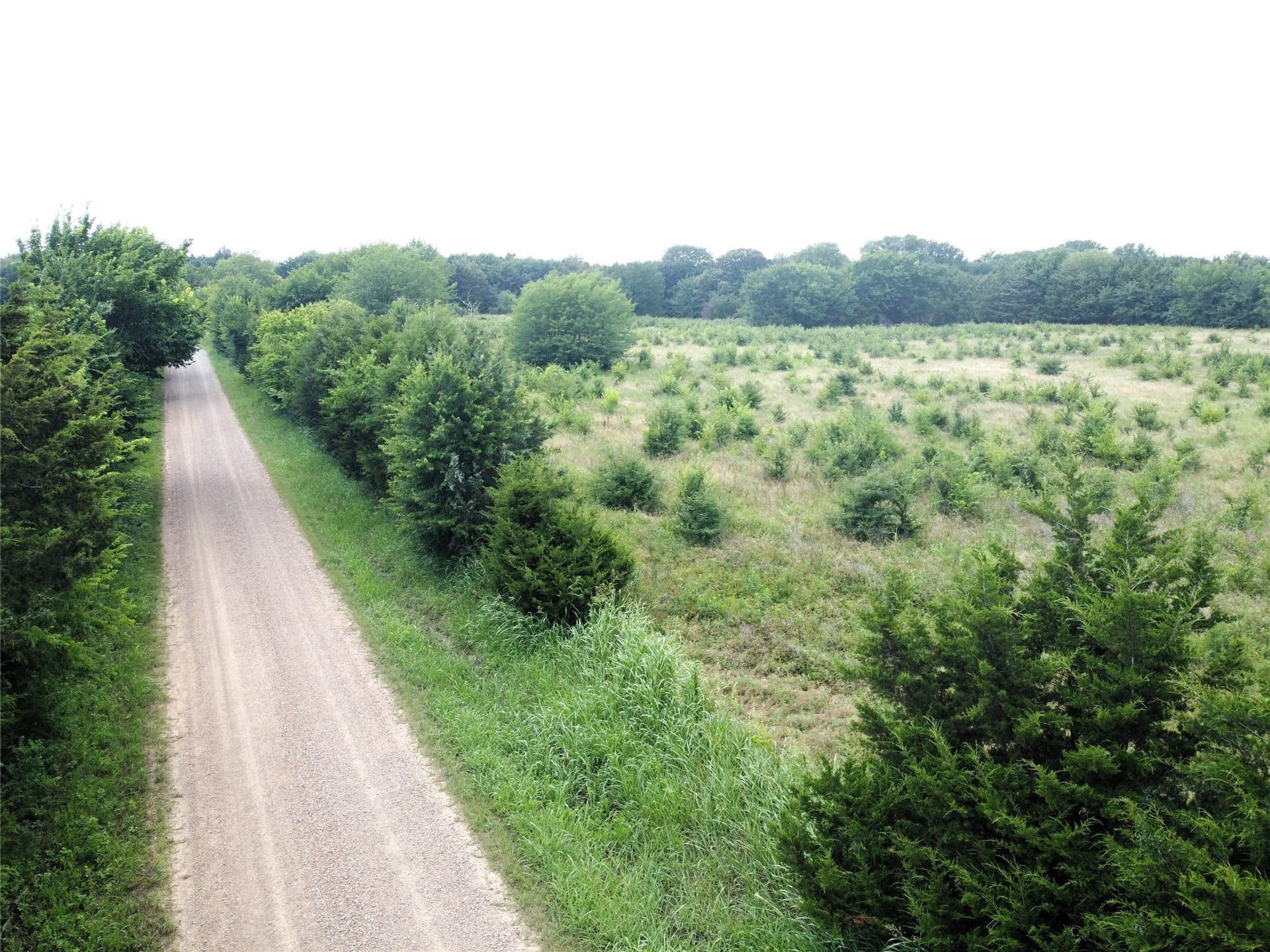 1.24 acres in Fannin County - photo 10