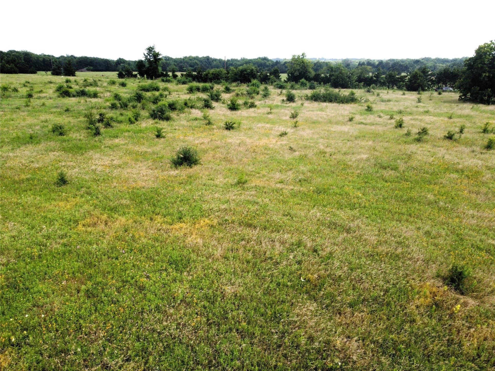 1.24 acres in Fannin County - photo 8