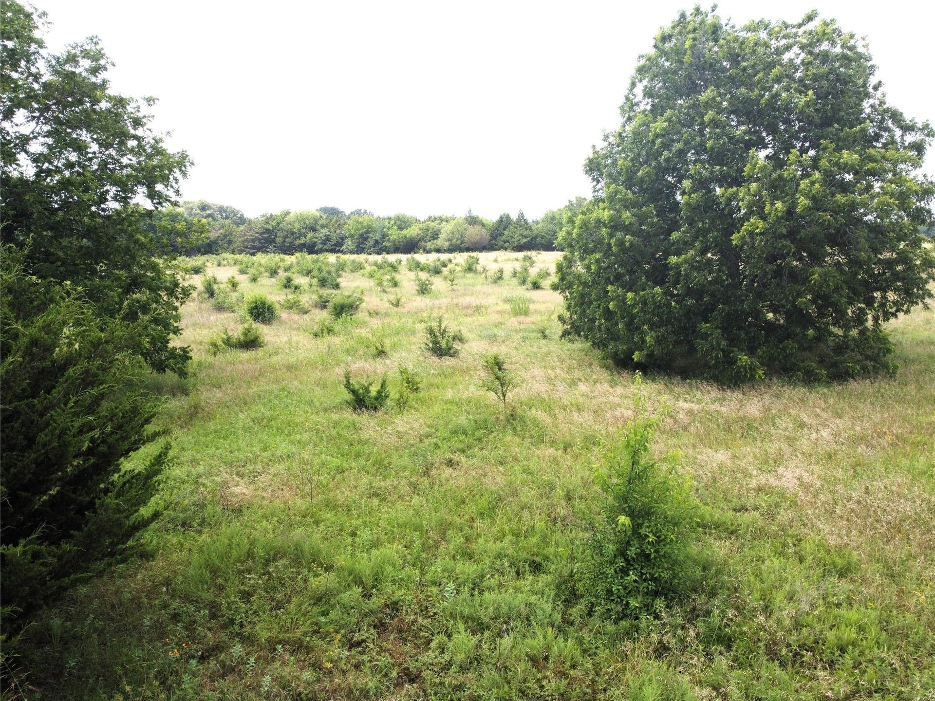 1.24 acres in Fannin County - photo 3