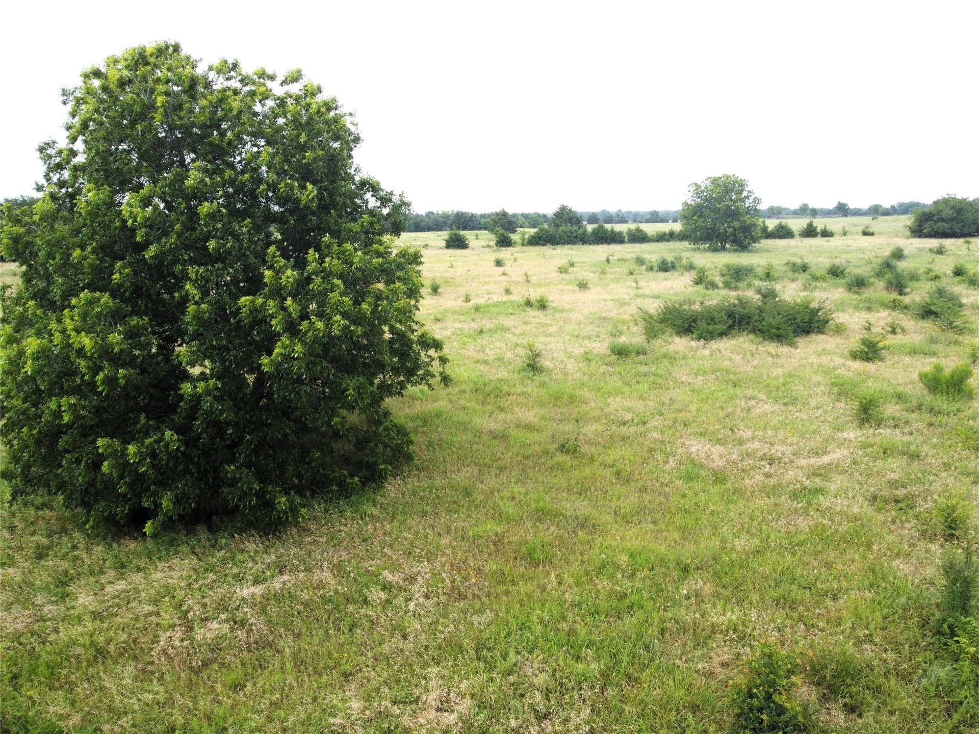 1.24 acres in Fannin County - photo 12
