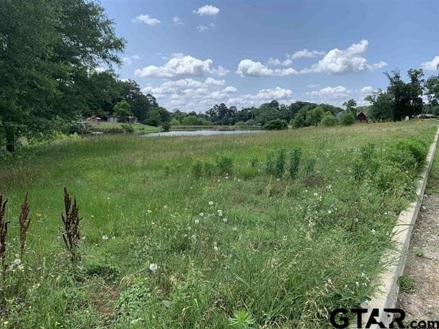 0.5 acres in Smith County - photo 2