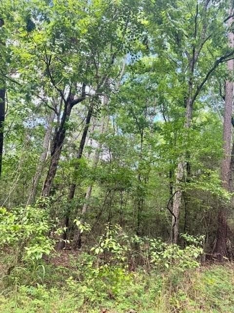 1.3 acres in Texas County
