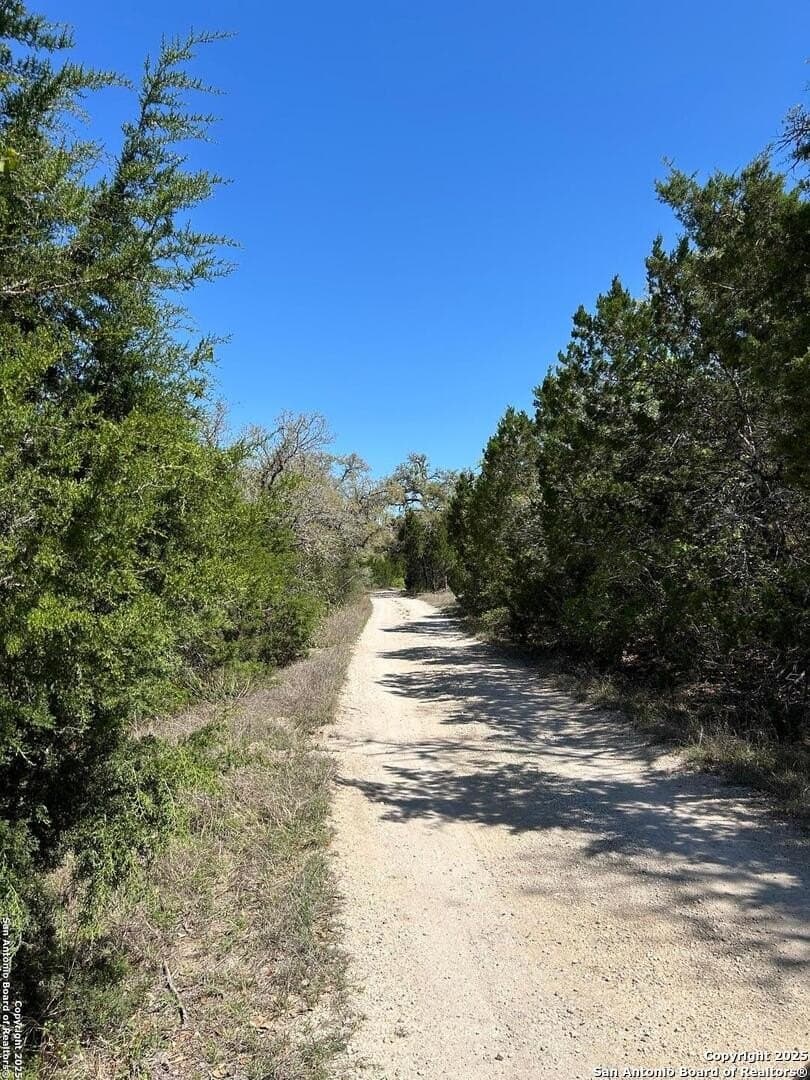 12.88 acres in Bexar County gallery image 4