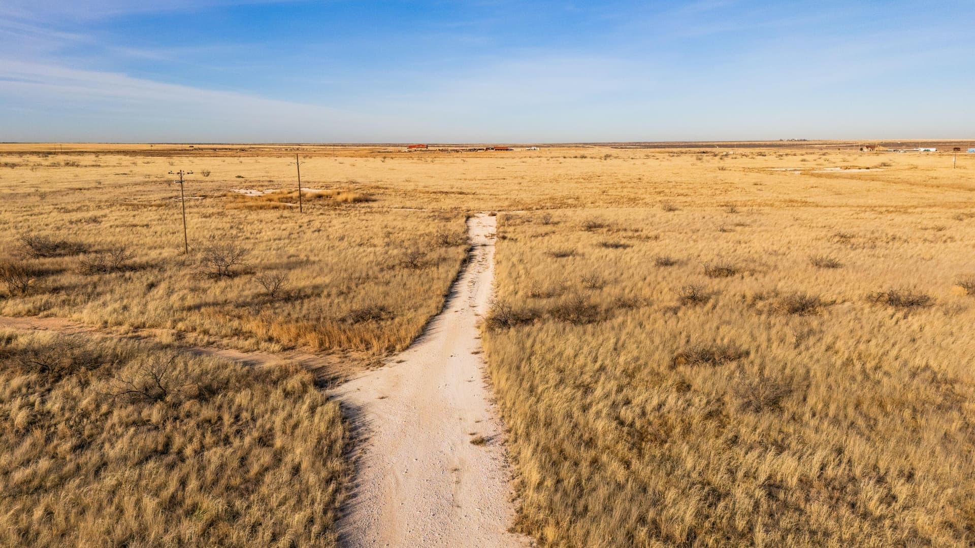 160 acres in Gaines County gallery image 4