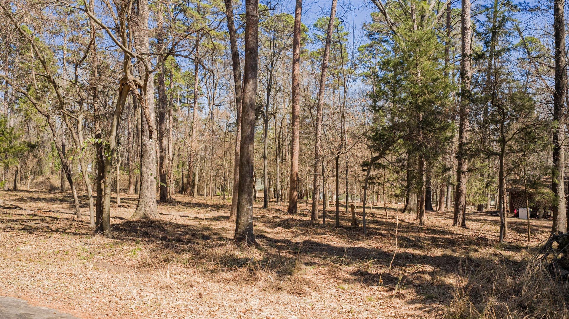0.65 acres in Franklin (TX) County gallery image 3