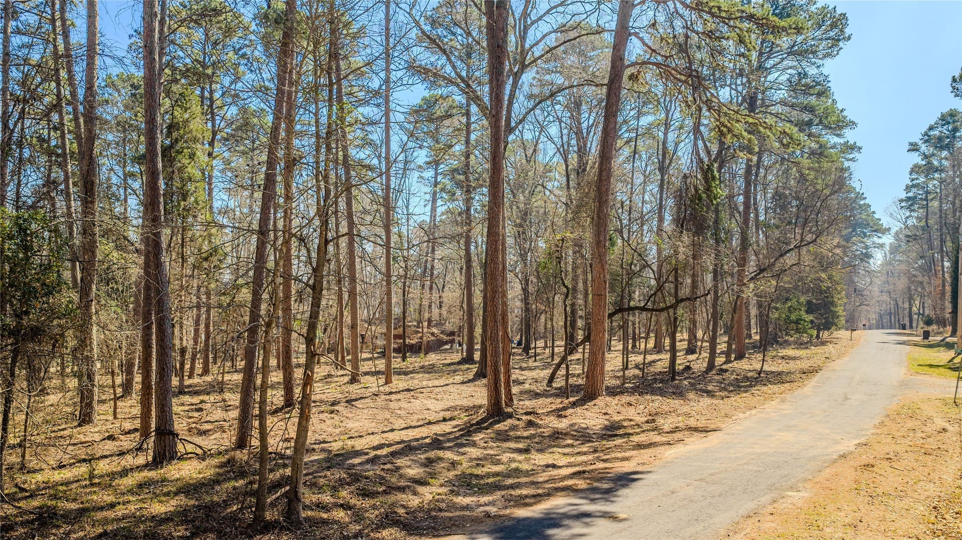 0.65 acres in Franklin (TX) County - photo 8