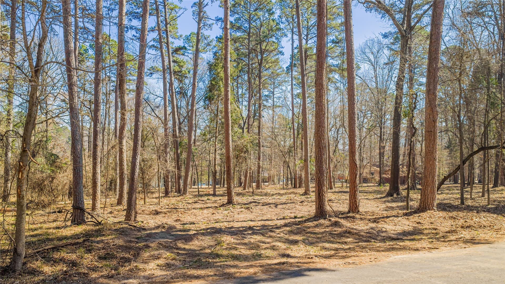 0.65 acres in Franklin (TX) County gallery image 4