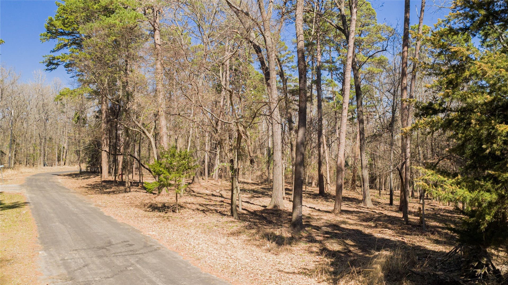 0.65 acres in Franklin (TX) County - photo 9