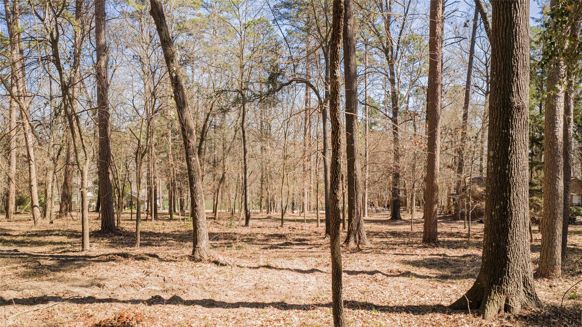 0.65 acres in Franklin (TX) County gallery image 2