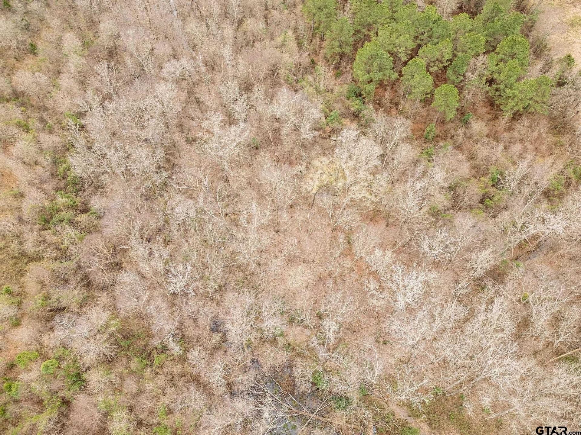 10 acres in Upshur County featured view