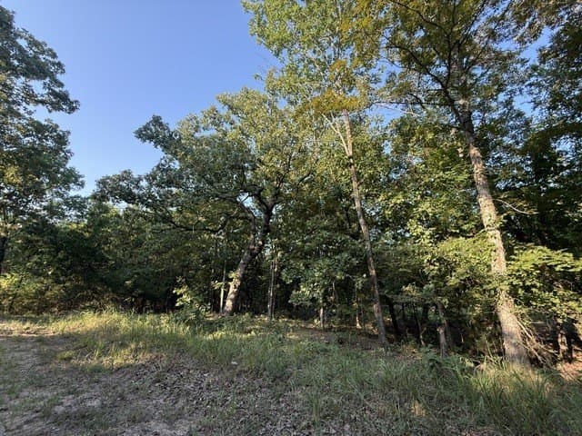 11.31 acres in Red River (TX) County - photo 9