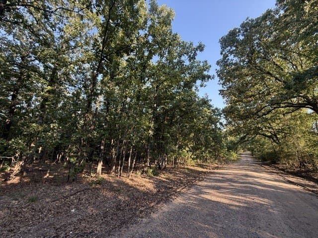 11.31 acres in Red River (TX) County - photo 7