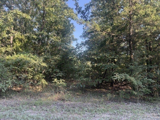11.31 acres in Red River (TX) County - photo 5