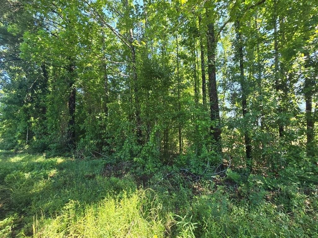 0.7 acres in Texas County